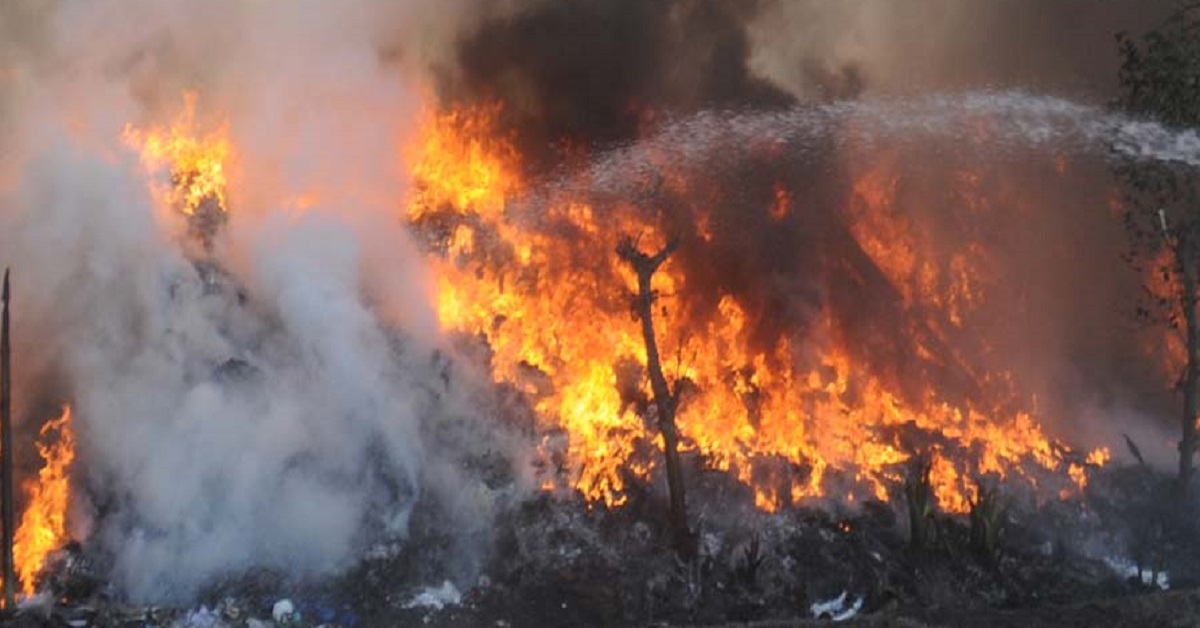 ধাপায় আগুন, ঘটনাস্থলে দমকলের ৬টি ইঞ্জিন