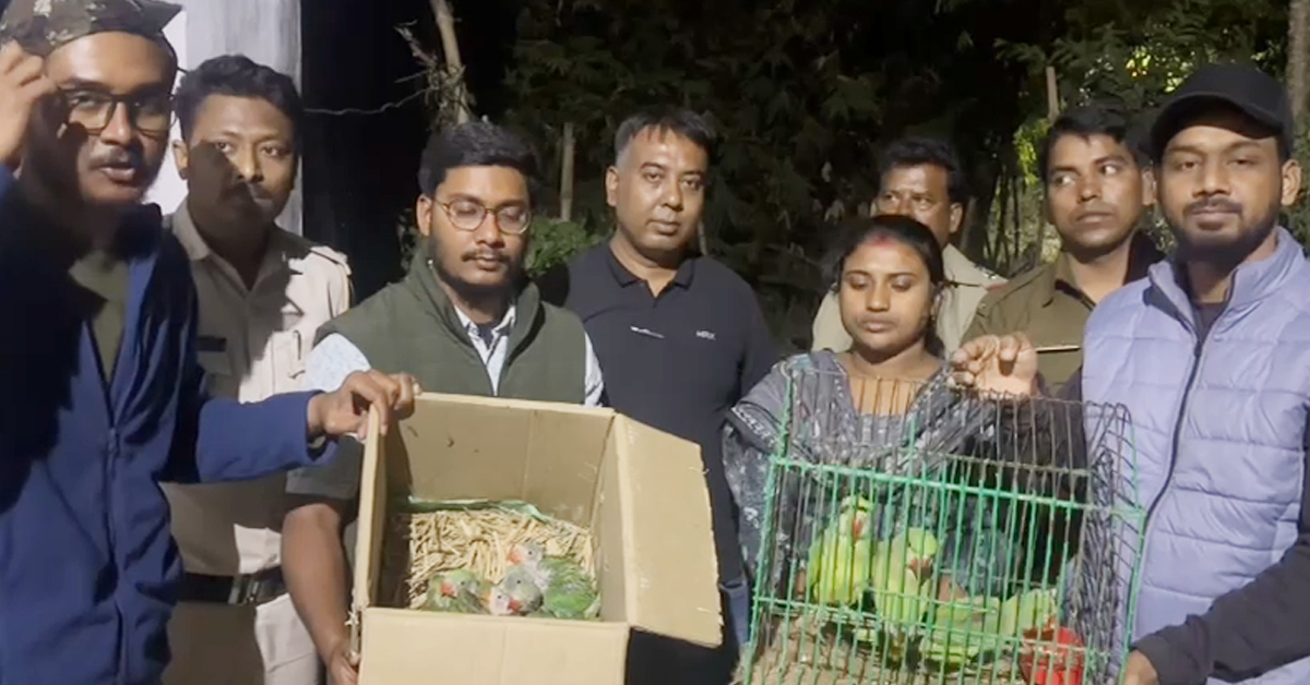 উলুবেড়িয়ায় অভিযানে উদ্ধার ১৫ ‘পাহাড়ি চন্দনা’, গ্রেফতার আন্তঃরাজ্য পাখি পাচারকারী