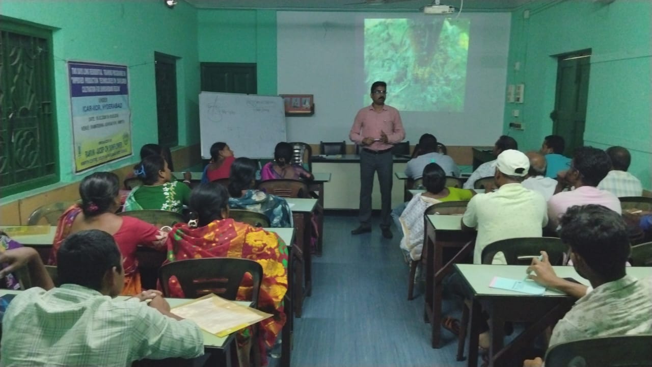 সূর্যমুখী চাষ নিয়ে দু’দিনের প্রশিক্ষন শিবির হয়ে গেল নিমপীঠে
